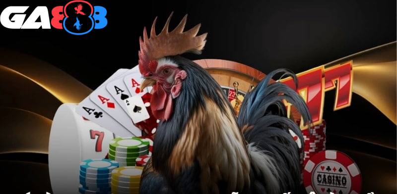 Ưu đãi đá gà Thomo: Hoàn trả 0.88% tiền thua cược cực kỳ hấp dẫn người chơi